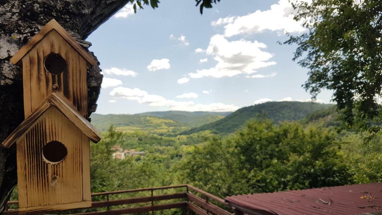 Rosarium Residence Guest House Dryanovo Bagian luar foto