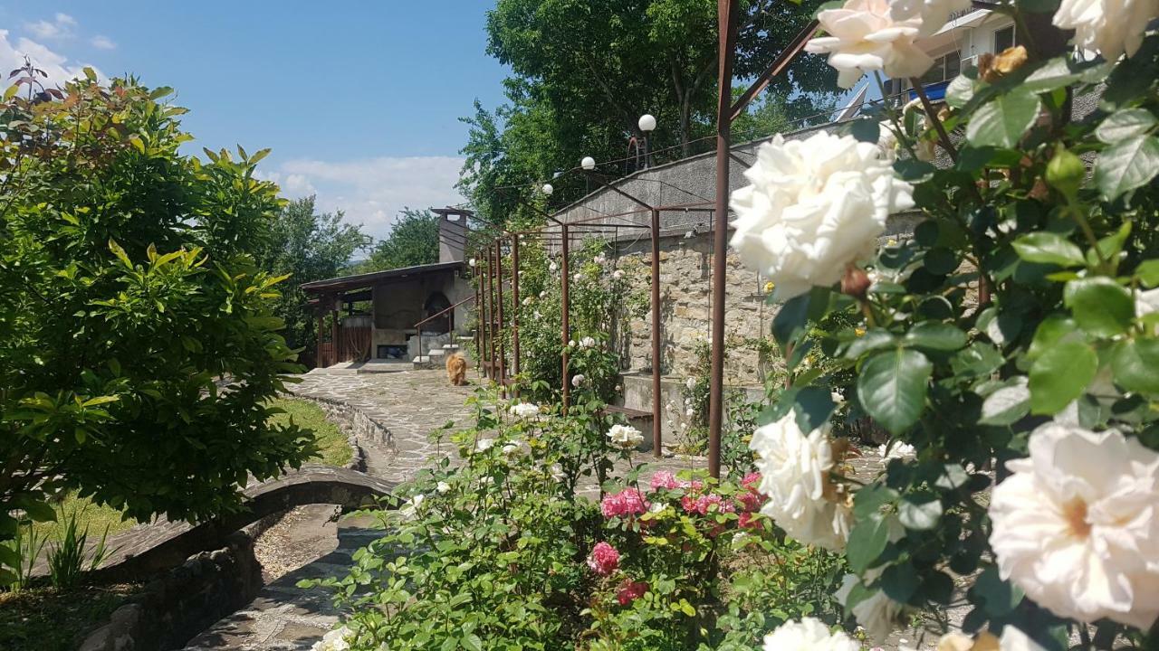 Rosarium Residence Guest House Dryanovo Bagian luar foto